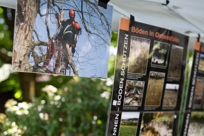 Ein Baumkletterer in voller Ausrüstung arbeitet in den Ästen eines Baumes. Daneben hängen Plakate mit Informationen zu Bodenschutz und Böden in Ostwestfalen aus.