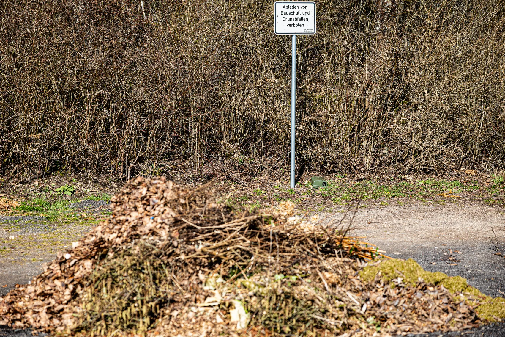 Ein Haufen aus Ästen, Laub und Grünschnitt liegt am Straßenrand. Im Hintergrund steht ein Schild mit der Aufschrift „Abladen von Bauschutt und Grünabfällen verboten“.