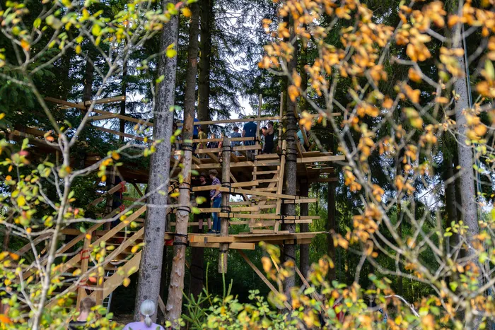 Mehrere Jugendliche auf den verschiedenen Ebenen eines hölzernen Baumhauses zwischen hohen Bäumen in einem Wald.