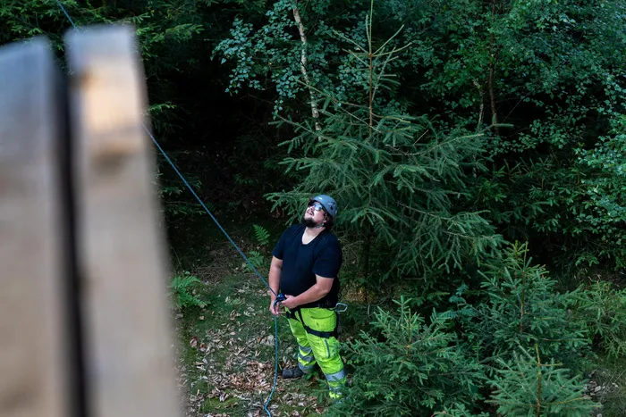 Ein Mann mit Helm und neongrüner Arbeitshose blickt in einem Wald nach oben.