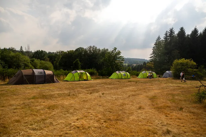 Mehrere Zelte stehen auf einer trockenen Wiese vor einer Waldkulisse.