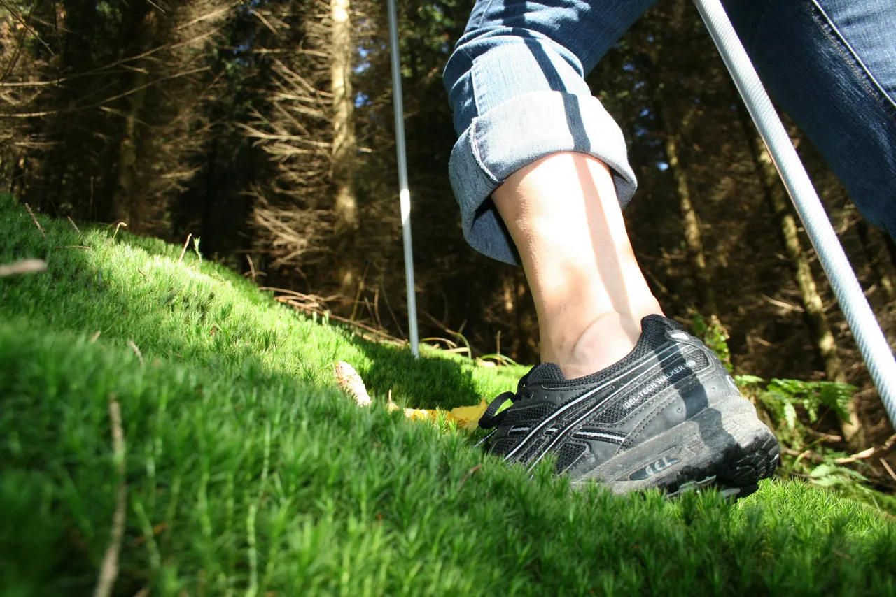 Wanderer mit Wanderstöcken und Sportschuhen auf grünem Gras im Wald, vermutlich bei einer geführten Wanderung im Naturpark Sauerland Rothaargebirge.