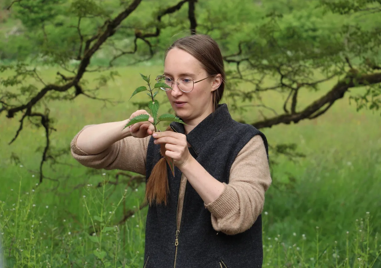 Junge Frau mit Brille untersucht eine Brennnessel im Freien, während sie die Pflanze in ihren Händen hält und konzentriert betrachtet.