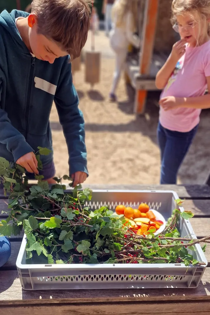 Ein Junge sortiert grüne Zweige mit roten Beeren in einer grauen Kiste auf einem Holztisch neben einer Schale mit geschnittenem Gemüse.