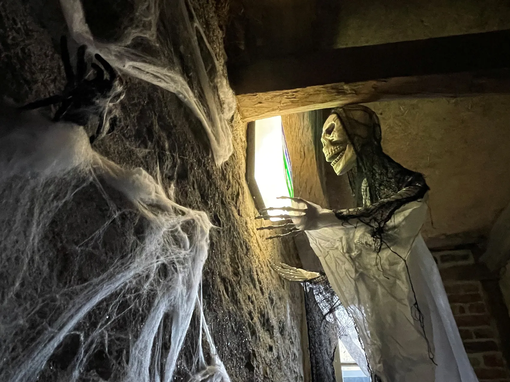 Halloween-Dekoration mit Spinnweben, einer schwarzen Spinne und einer Skelettfigur in weißem Gewand.