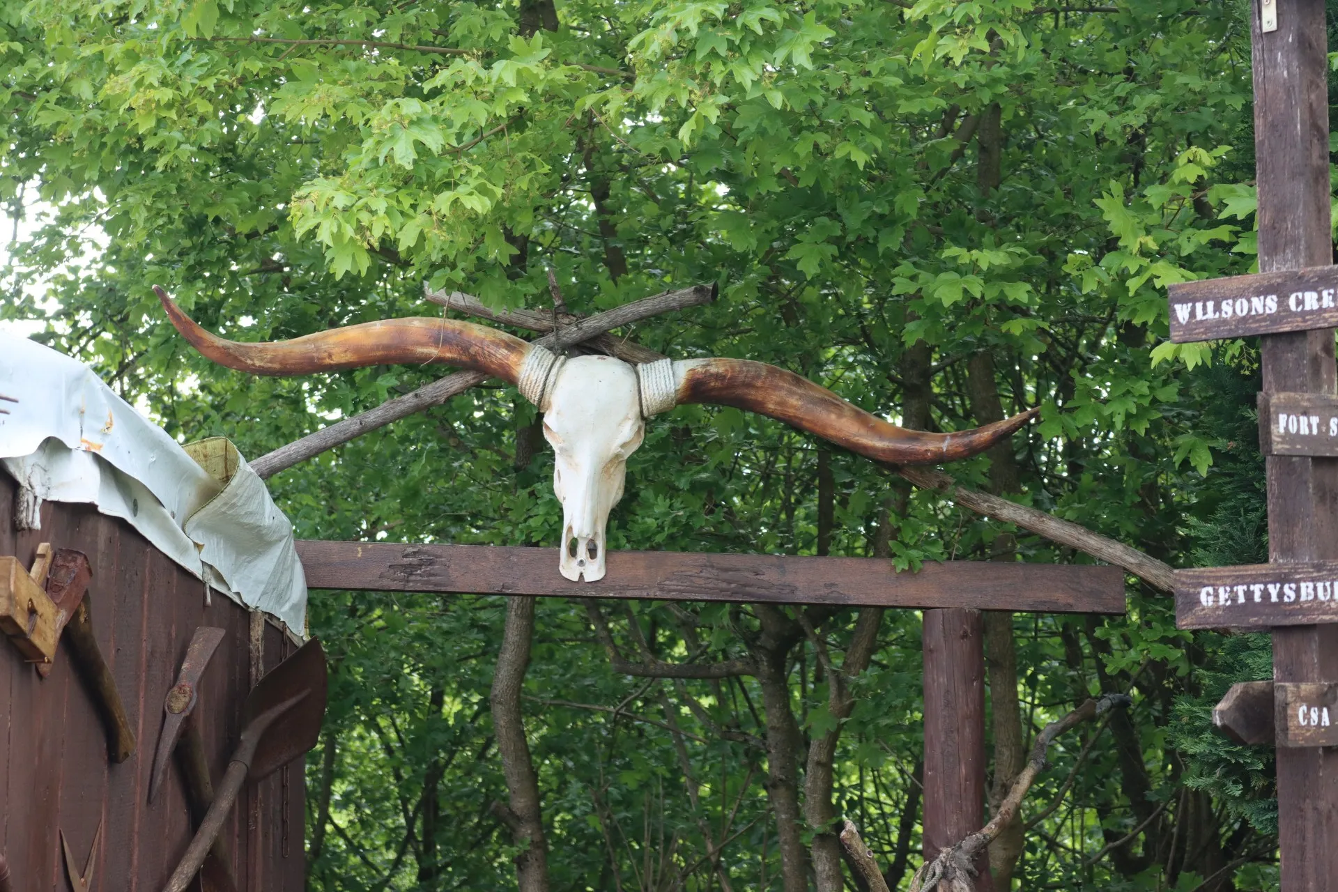 Ein Tierkopf mit langen Hörnern ist über einem Holztor angebracht, im Hintergrund grünes Laub und Schilder mit Ortsnamen.