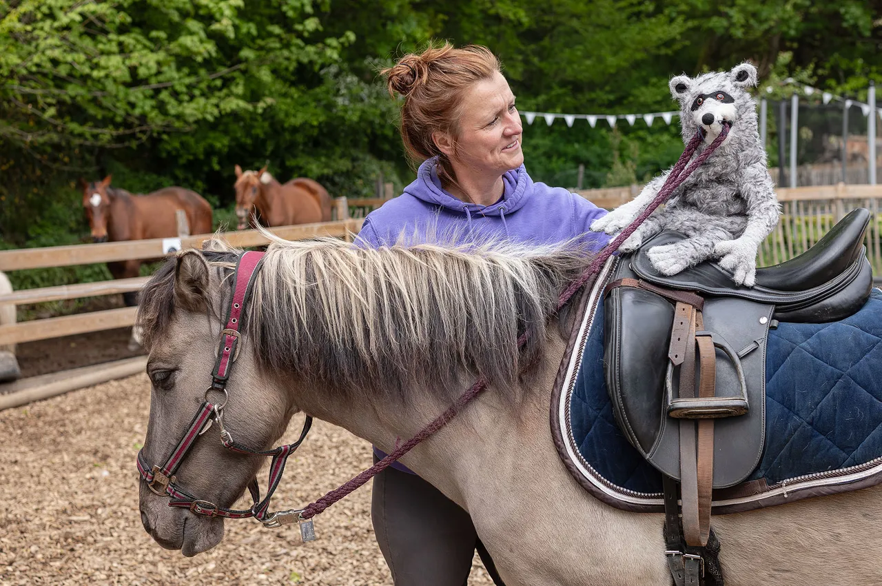 Eine Frau reitet auf einem hellgrauen Pony, während ein graues Stofftier auf dem Sattel sitzt. Im Hintergrund sind weitere Pferde in einer Koppel zu sehen.