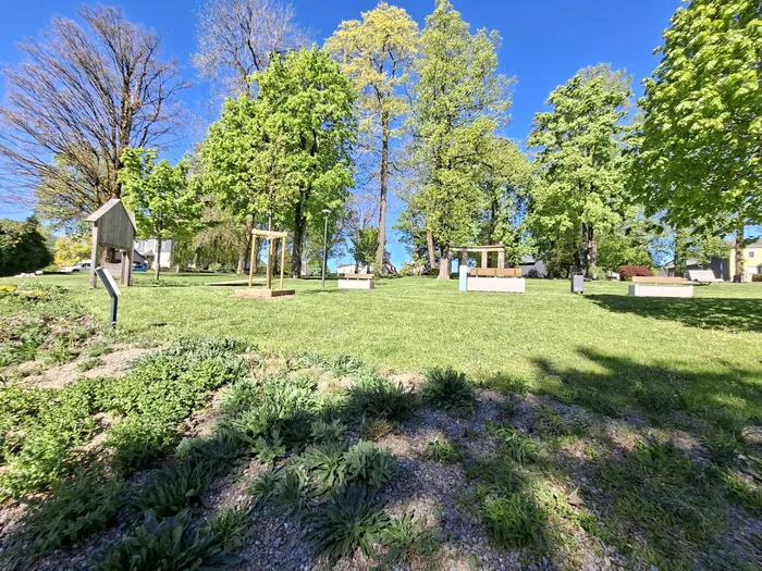 Grüne Rasenfläche mit mehreren hölzernen Spielgeräten und Bäumen unter blauem Himmel. Im Vordergrund blühende Pflanzen.