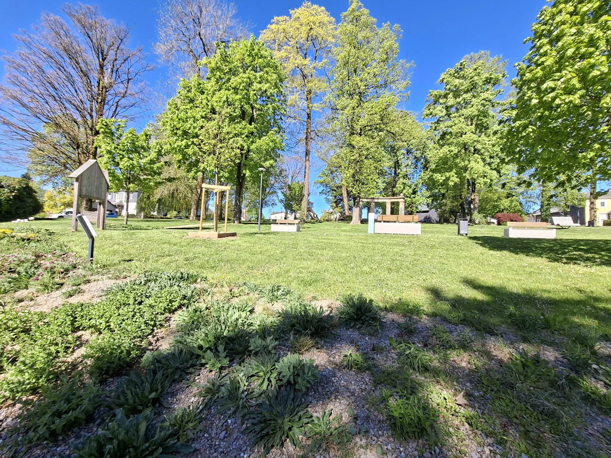 Grüne Rasenfläche mit mehreren hölzernen Spielgeräten und Bäumen unter blauem Himmel. Im Vordergrund blühende Pflanzen.