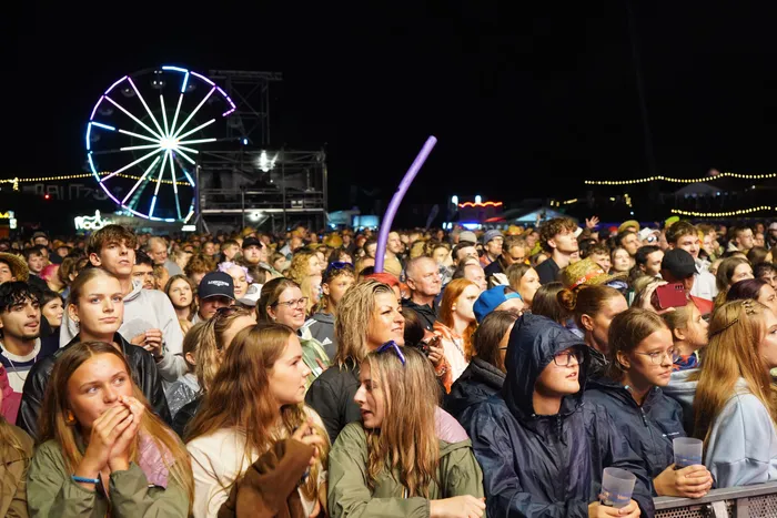 Eine Menschenmenge bei einem nächtlichen Musikfestival mit einem beleuchteten Riesenrad im Hintergrund.