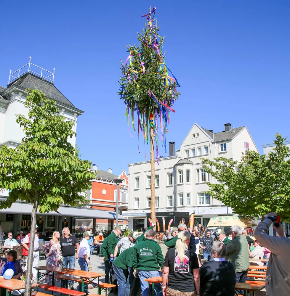 Ein geschmückter Maibaum wird von mehreren Personen auf einem Platz in Letmathe aufgestellt, umgeben von Zuschauern und Bierbänken.