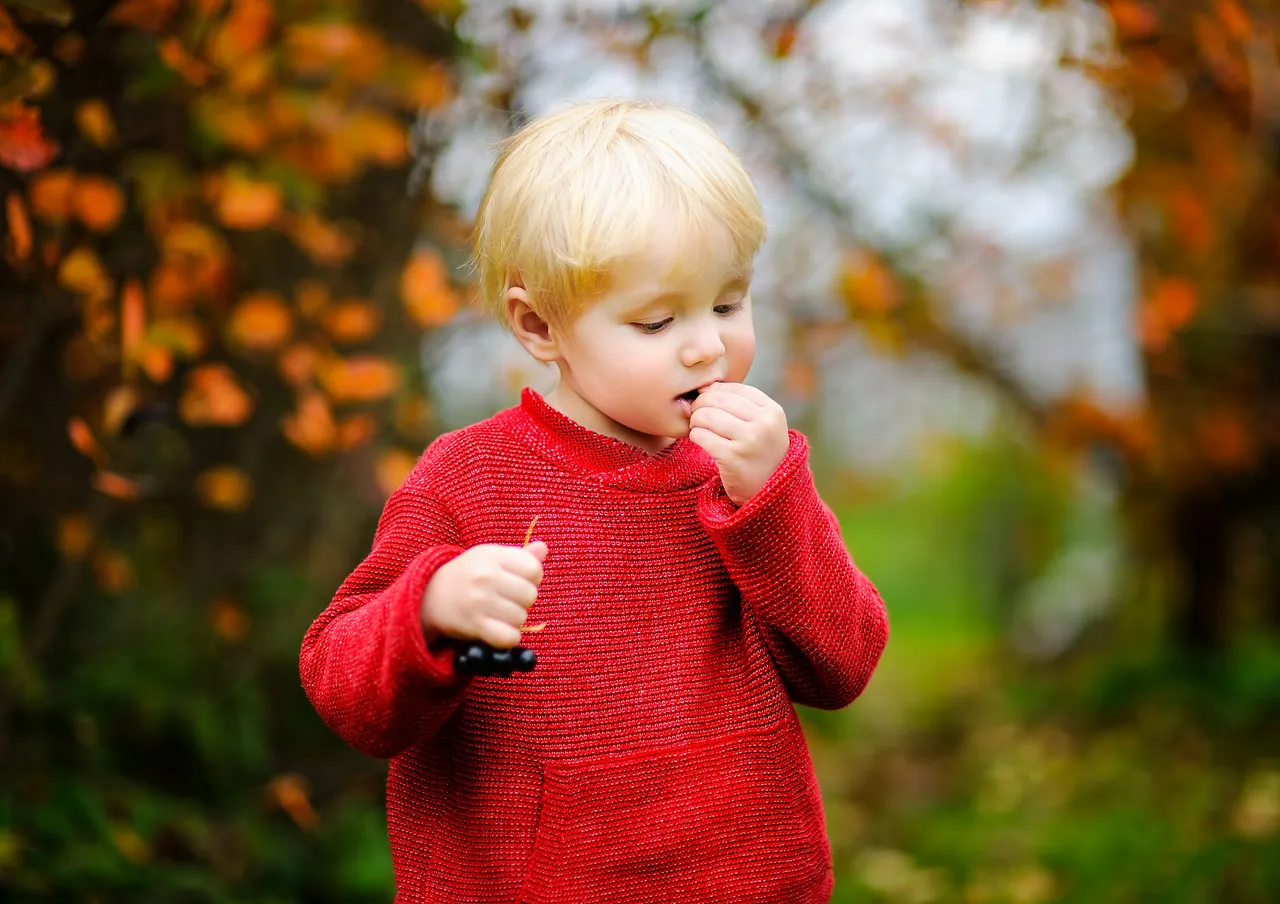 Kleines blondes Kind mit rotem Pullover steckt etwas in den Mund, im Hintergrund herbstliche Vegetation.