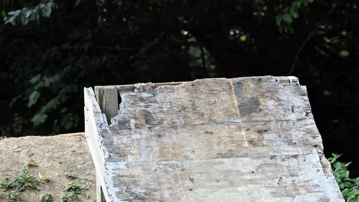 Eine verwitterte Holzrampe aus Sperrholz in einem Bikepark.