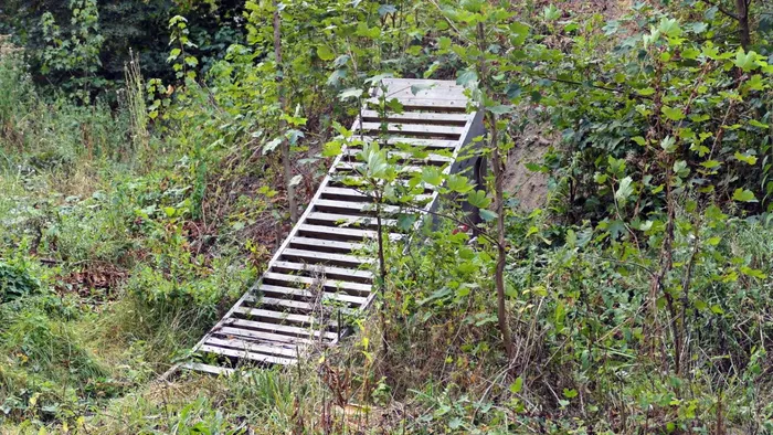 Eine Holztreppe führt durch dichtes Gebüsch in einem bewachsenen Gelände.