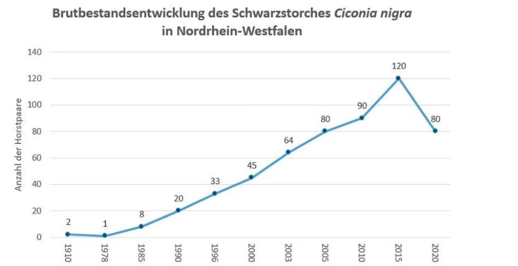 Linienförmiger Verlauf der Brutpaarzahlen des Schwarzstorchs in Nordrhein-Westfalen von 1970 bis 2020, mit deutlichem Anstieg von 2 auf 80 Brutpaare.