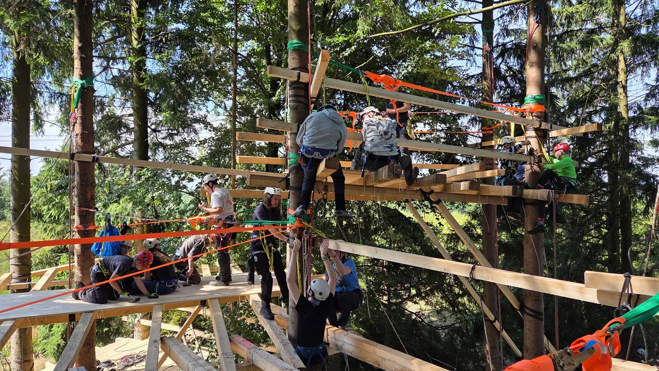 Mehrere Personen mit Helmen und Sicherheitsgurten arbeiten an einem großen Holzkonstrukt in den Baumwipfeln eines dichten Waldes.