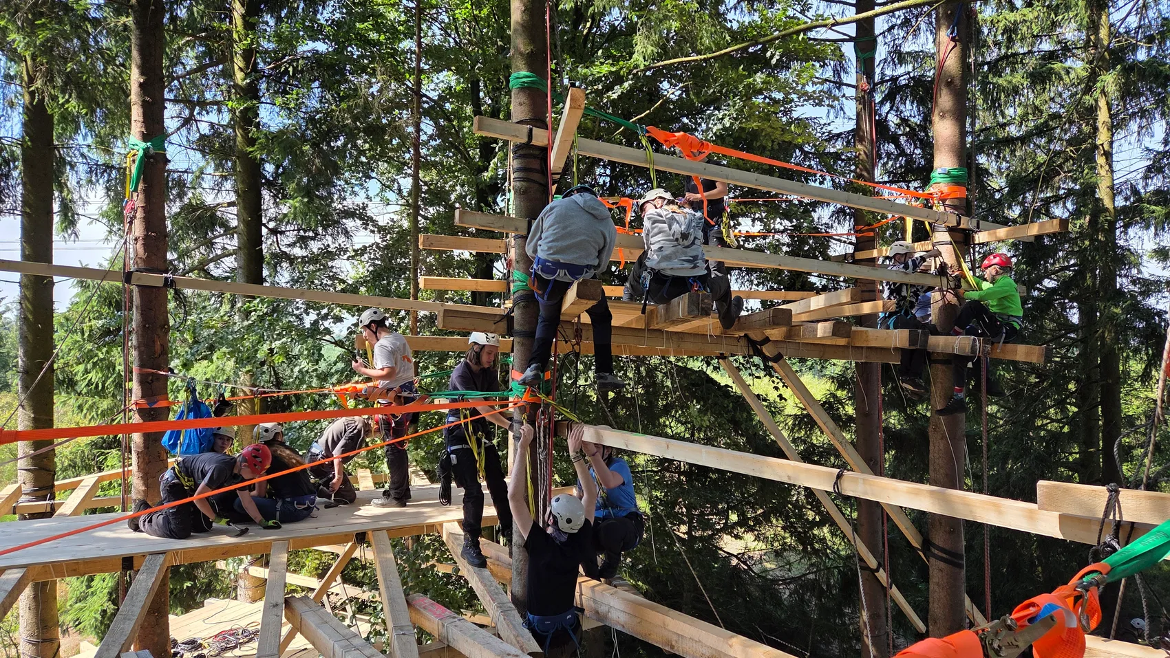 Mehrere Personen mit Helmen und Sicherheitsgurten arbeiten an einem großen Holzkonstrukt in den Baumwipfeln eines dichten Waldes.