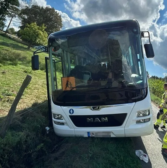 Ein weißer MAN-Schulbus steht in einem grasbewachsenen Graben neben der Straße.