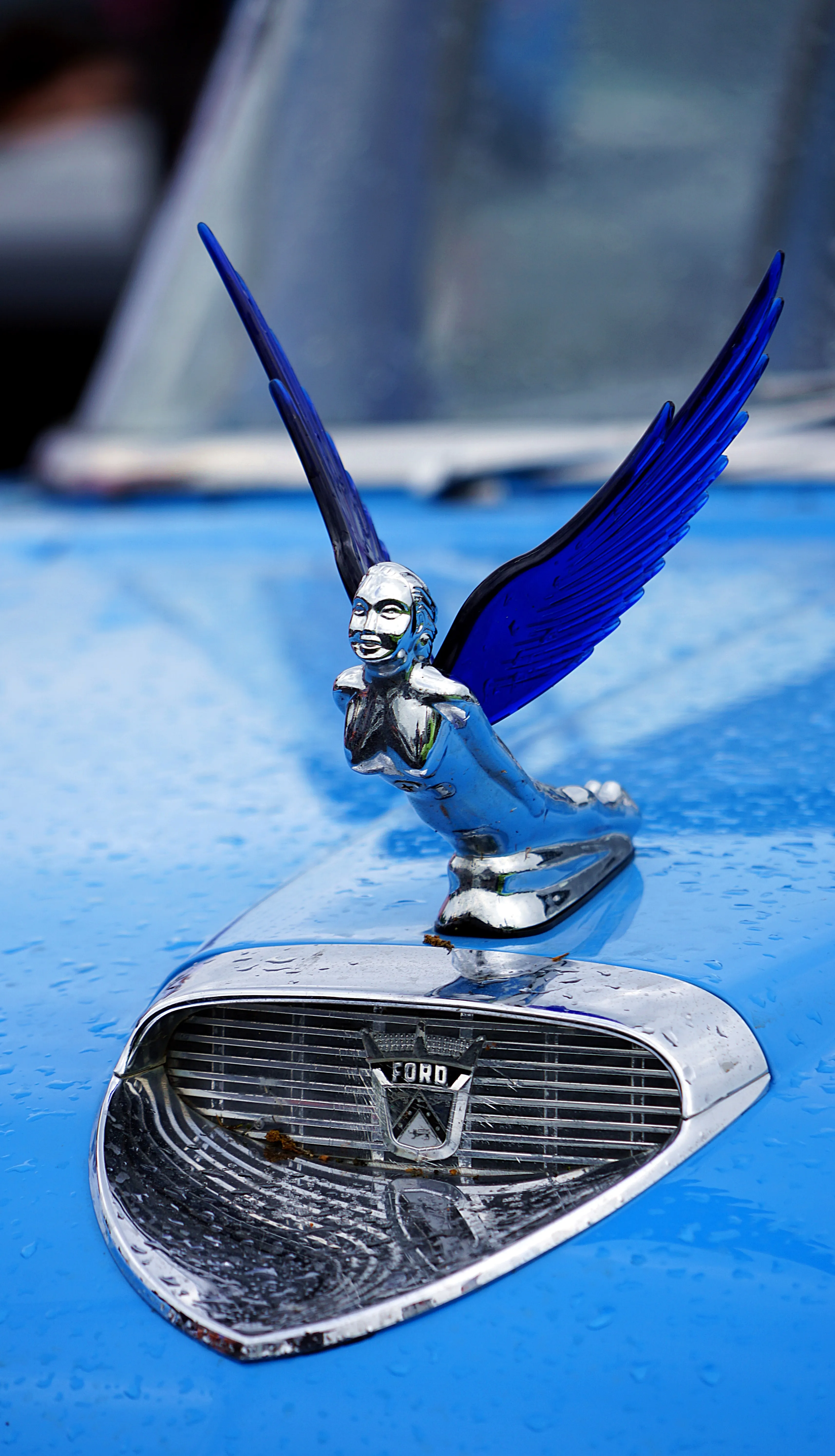 Chromfarbenes Ford-Emblem mit Flügeln auf der Motorhaube eines hellblauen Oldtimers.