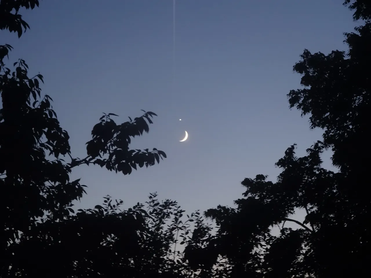 Mondsichel und heller Venusplanet sind zwischen Baumwipfeln am Abendhimmel über Lüdenscheid zu erkennen.