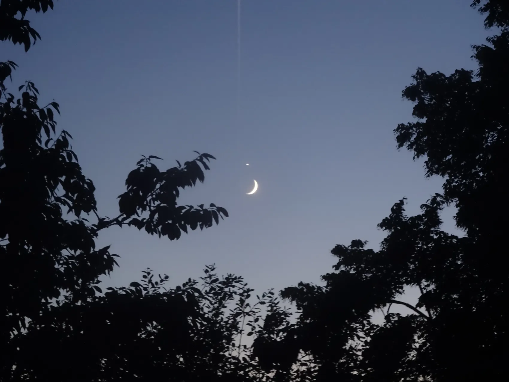 Mondsichel und heller Venusplanet sind zwischen Baumwipfeln am Abendhimmel über Lüdenscheid zu erkennen.