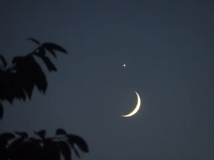 Mondsichel und ein heller Stern, vermutlich Venus, am Abendhimmel über Lüdenscheid. Im Vordergrund sind die dunklen Silhouetten von Blättern zu erkennen.