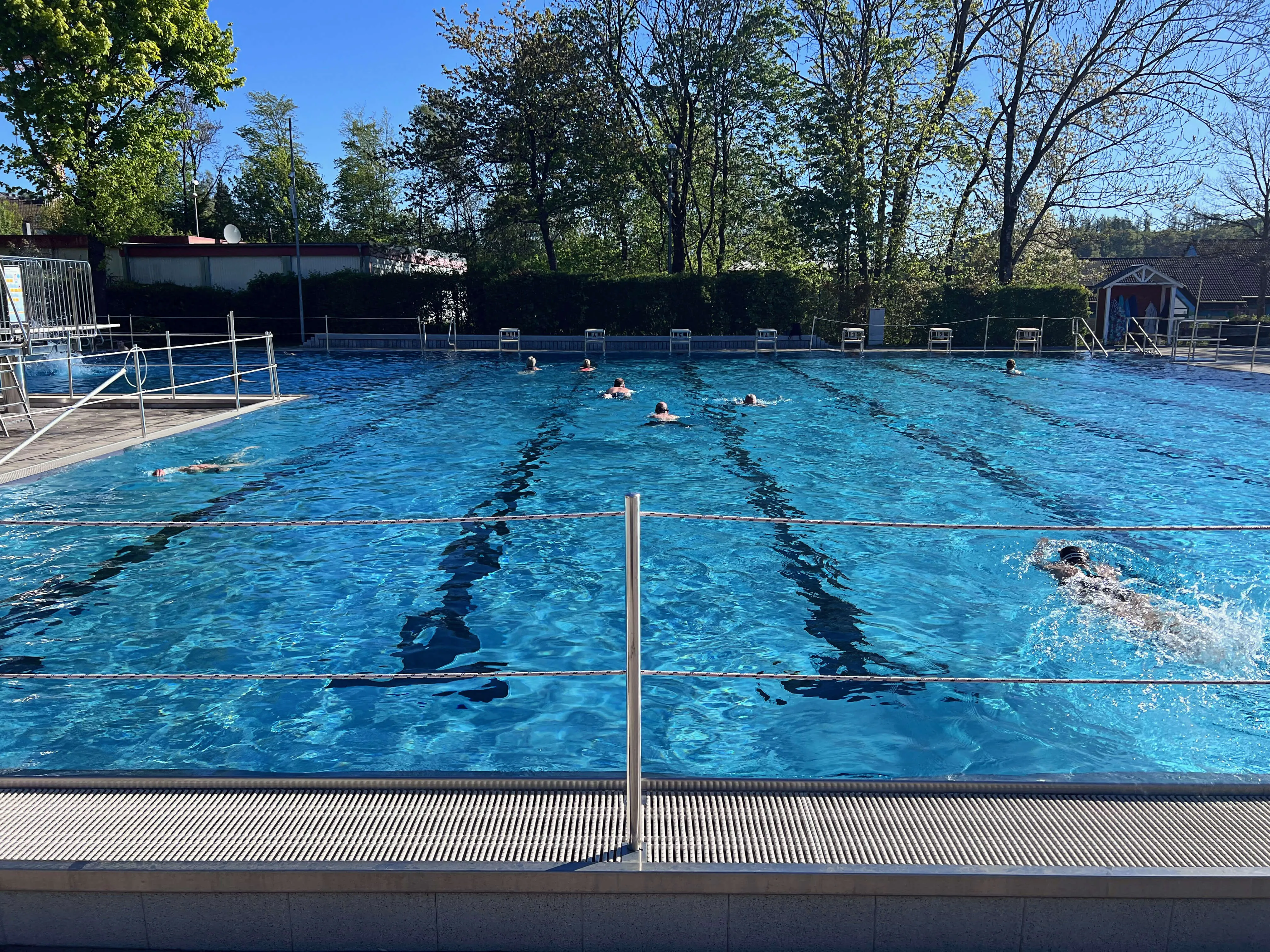 Menschen schwimmen in den Bahnen eines Freibads an einem sonnigen Tag. Im Hintergrund sind Bäume und Gebäude zu sehen.