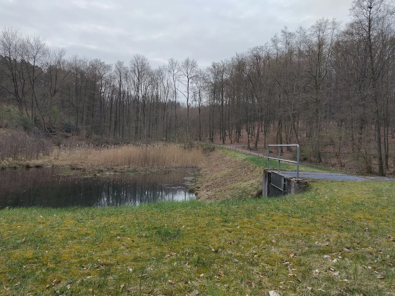 Das Hochwasserrückhaltebecken Freibad Schwelm mit Wasserfläche, Uferbereich und angrenzendem Wald an einem bewölkten Tag.