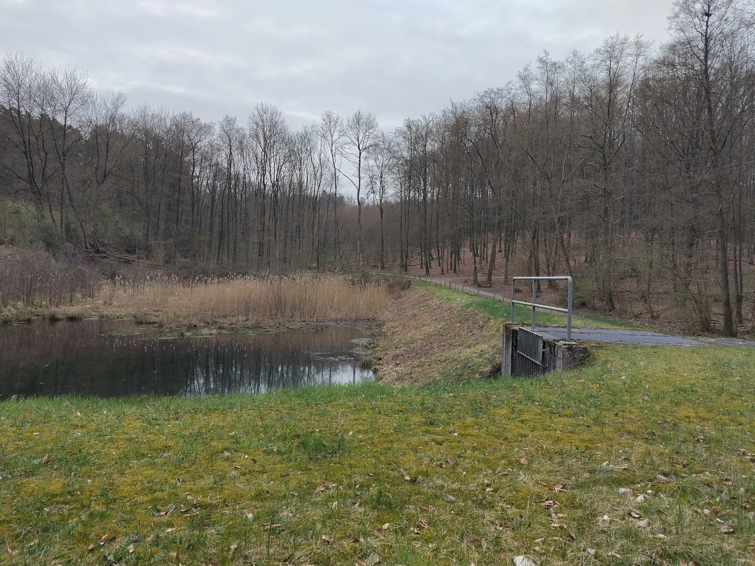 Das Hochwasserrückhaltebecken Freibad Schwelm mit Wasserfläche, Uferbereich und angrenzendem Wald an einem bewölkten Tag.