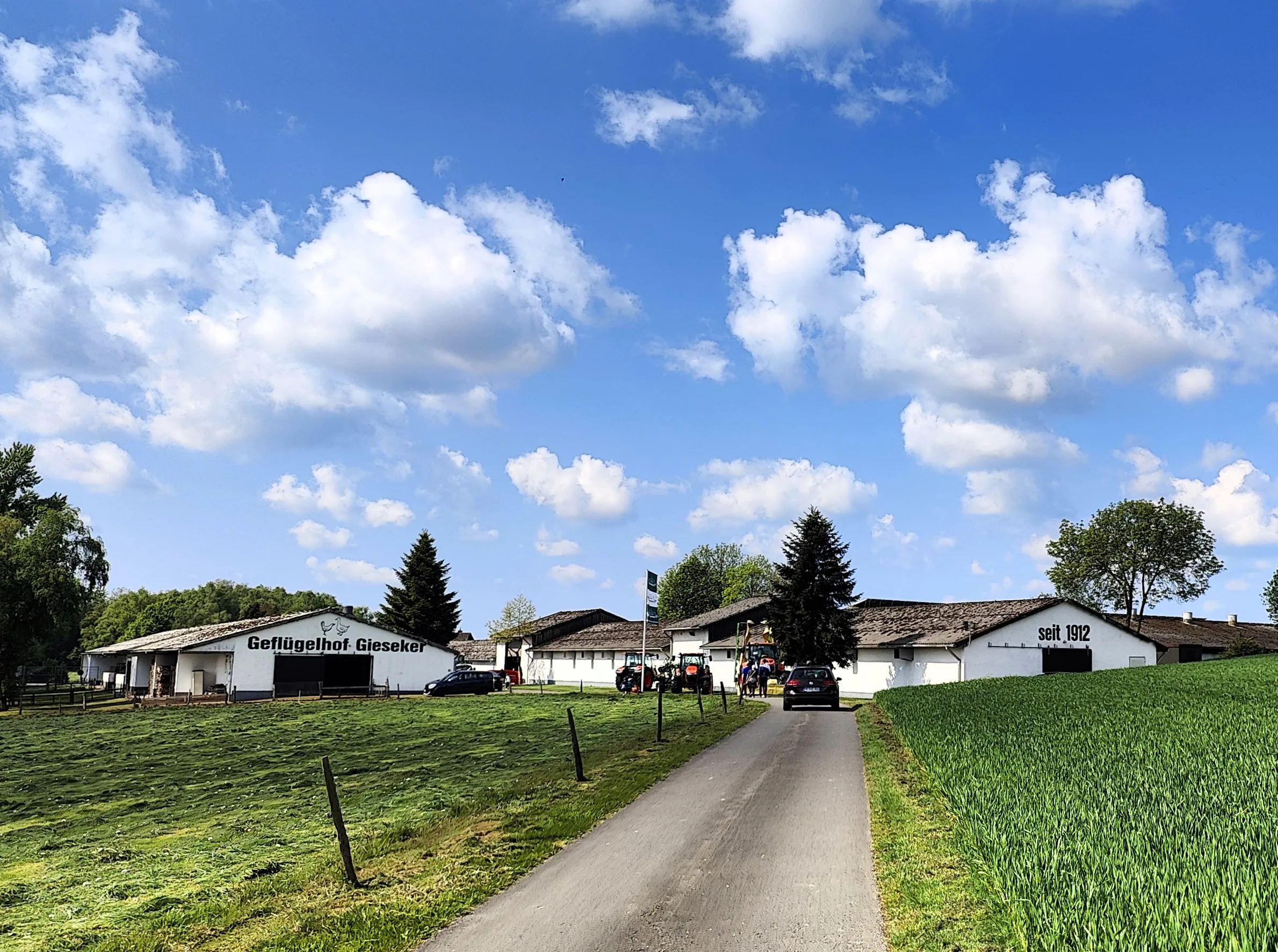 Blick auf den Geflügelhof Gieseker mit mehreren Fahrzeugen und Besuchern auf dem Hofgelände, im Hintergrund ein blauer Himmel mit weißen Wolken.