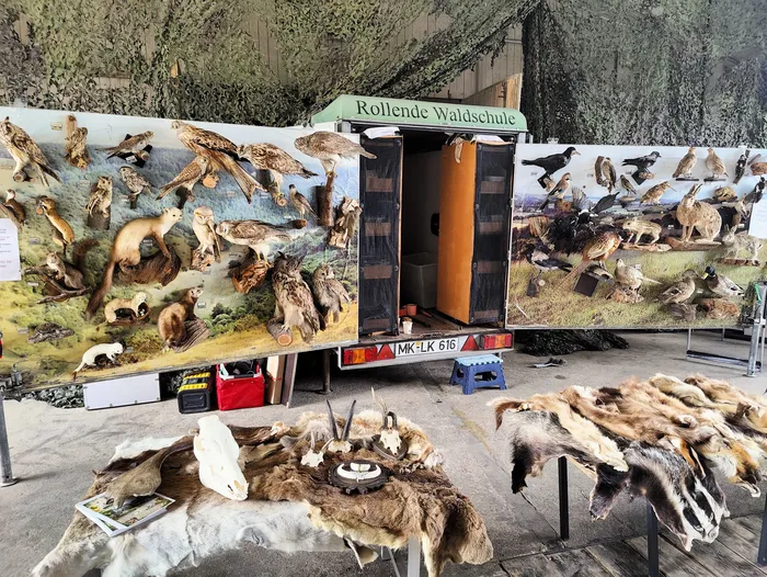 Ausgestopfte Vögel und Säugetiere an einer Wand und auf einem Anhänger mit der Aufschrift „Rollende Waldschule“, davor ausgelegte Tierfelle und Schädel.