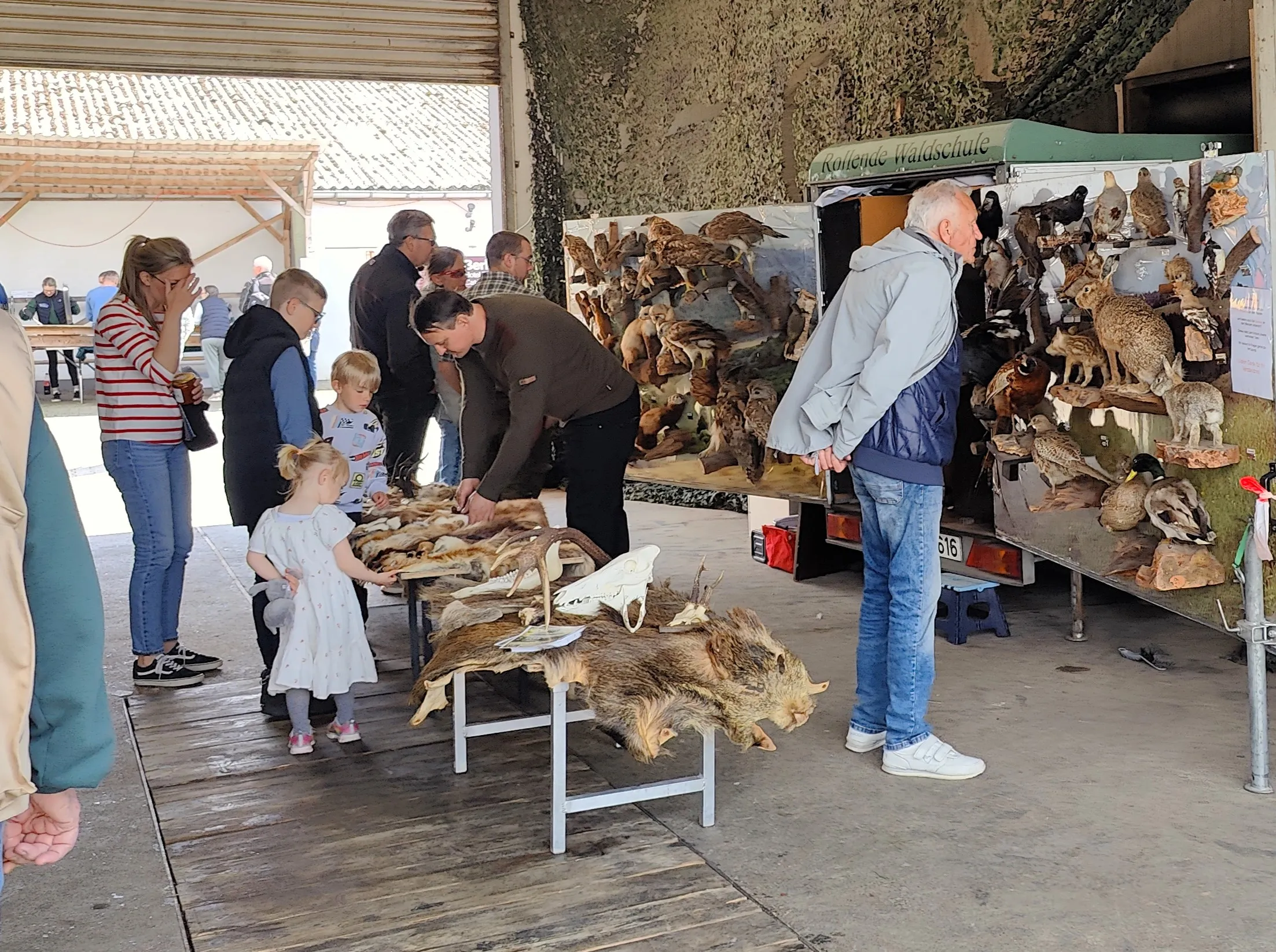 Besucher betrachten auf einem Geflügelhof ausgestellte Tierfelle und präparierte Vögel. Ein Mann zeigt einem Kind ein Fell auf einem Tisch.