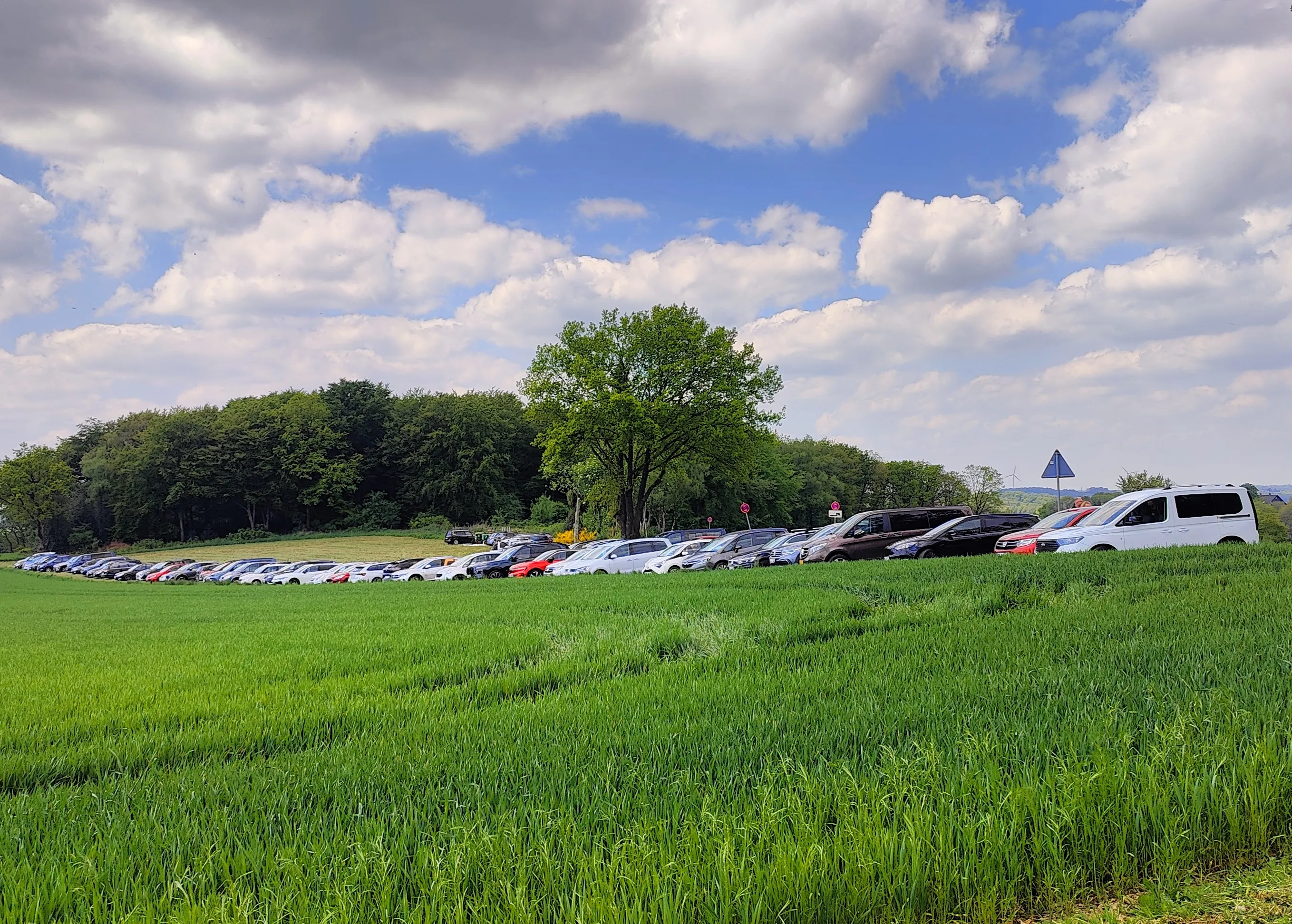 Reihe von Autos auf einem Feldparkplatz vor Bäumen und unter einem bewölkten Himmel, im Hintergrund ein Windrad.