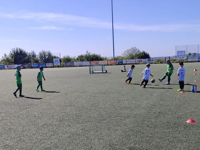 Kinder trainieren Fußball auf einem Kunstrasenplatz. Einige Spieler in grünen Trikots üben Dribbling um Hütchen, während andere im Hintergrund spielen.
