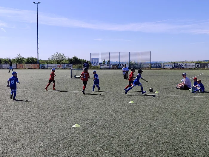 Kinder spielen Fußball auf einem Kunstrasenplatz. Einige Spieler in blauen und roten Trikots sind in Aktion, während andere am Spielfeldrand sitzen. Im Hintergrund ist ein Zaun mit Werbebanden zu sehen.