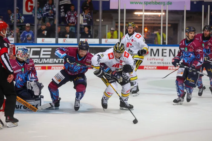 Ein Eishockeyspieler der Krefeld Pinguine in Weiß führt den Puck, während ein Spieler der Iserlohn Roosters in weinrot-blauen Trikots ihn verfolgt.