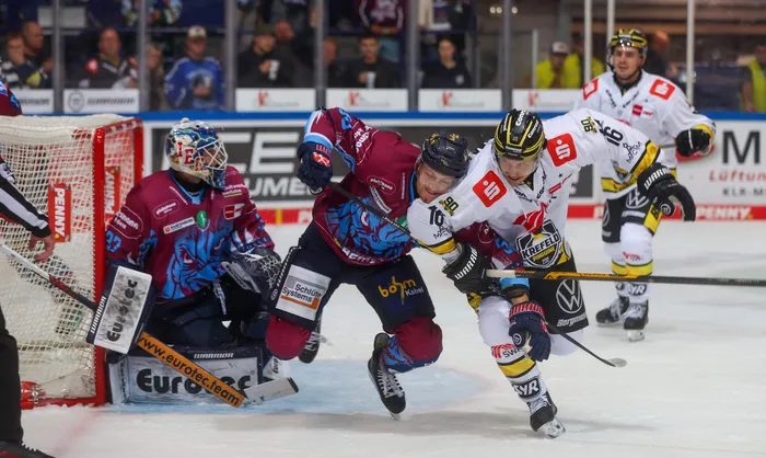 Eishockeyspieler der Krefeld Pinguine in weißen Trikots und der Iserlohn Roosters in weinroten Trikots im Zweikampf vor dem Tor.