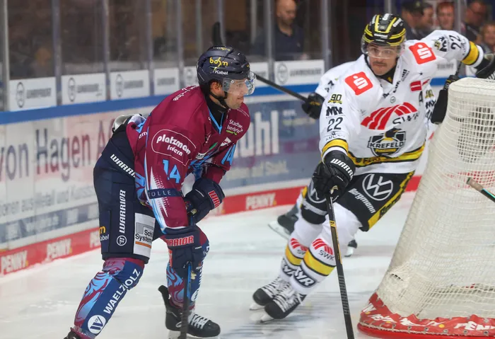 Ein Eishockeyspieler der Iserlohn Roosters in weinrotem Trikot im Zweikampf mit einem Spieler der Krefeld Pinguine vor dem Tor.