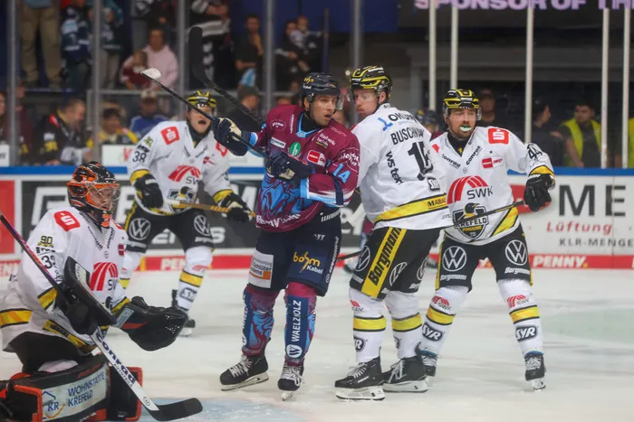 Eishockeyspieler der Iserlohn Roosters in weinroten Trikots im Zweikampf mit Spielern der Krefeld Pinguine in weißen Trikots auf dem Eis.