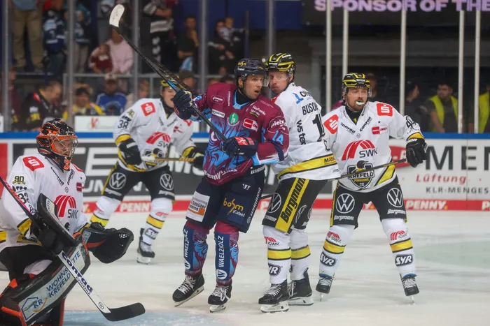 Eishockeyspieler der Iserlohn Roosters in weinrot-blauen Trikots und der Krefeld Pinguine in weißen Trikots auf dem Eis.