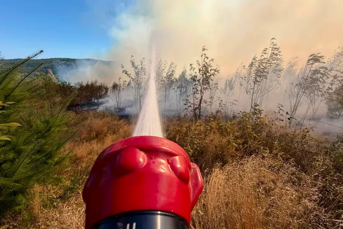Ein rotes Feuerwehrstrahlrohr spritzt Wasser in eine rauchverhangene Landschaft während eines Waldbrandes.