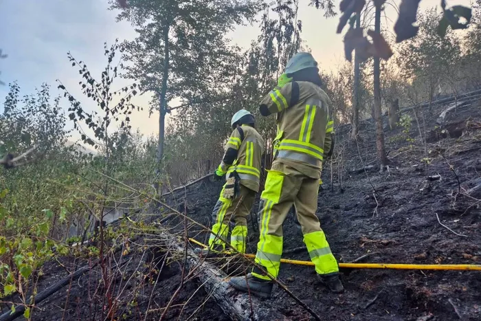 Zwei Einsatzkräfte in gelber Schutzkleidung gehen über einen verkohlten Waldhang.
