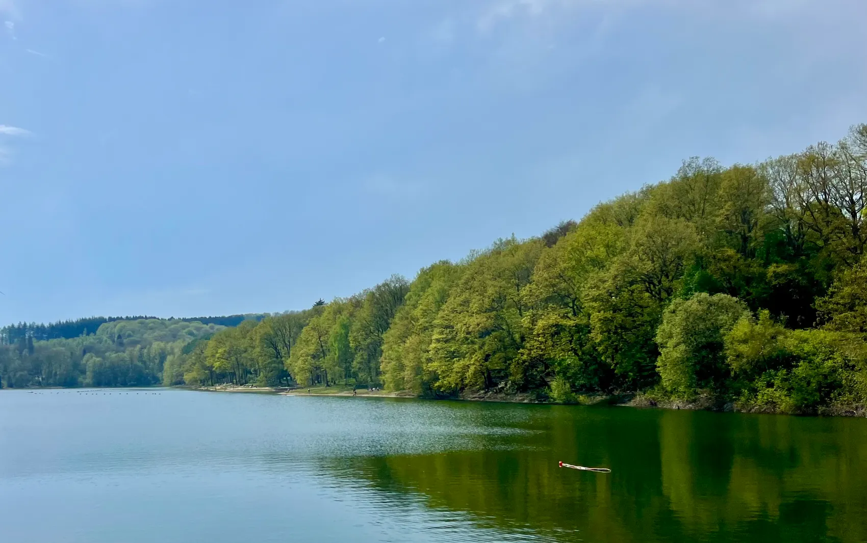 Blick über die Glörtalsperre mit dichtem, grünen Wald am Ufer und einem einzelnen roten Boot auf dem Wasser.