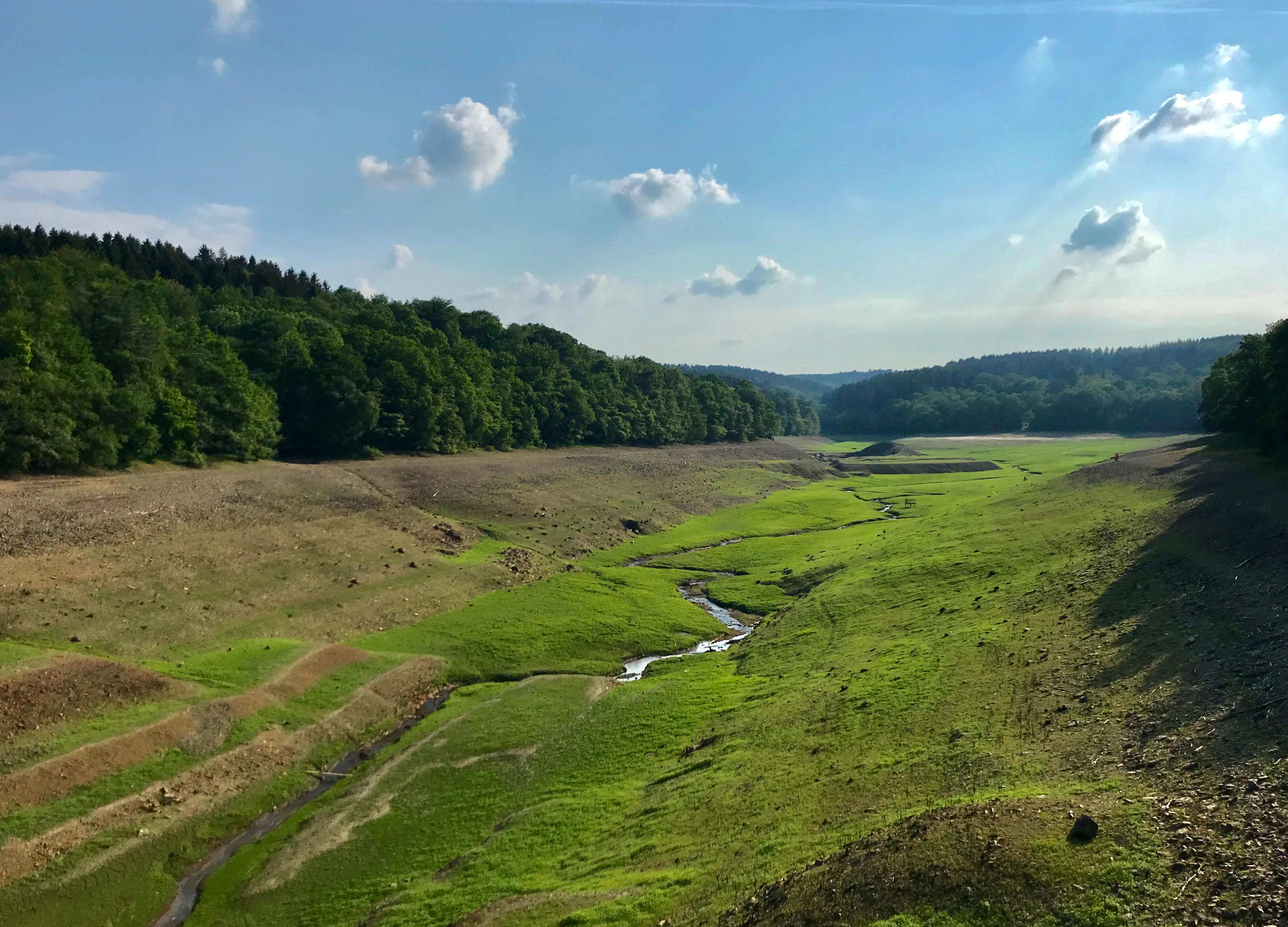 Ausgetrocknetes Glörtalsperrenbecken mit einem kleinen Flusslauf durch grüne Wiesen und braune Uferbereiche, umgeben von bewaldeten Hügeln unter einem blauen Himmel mit wenigen Wolken.
