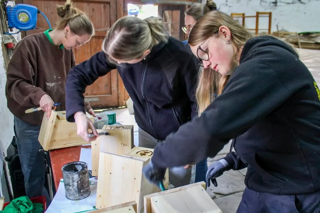 Drei junge Frauen arbeiten konzentriert an Holzkästen, eine von ihnen trägt Handschuhe. Im Hintergrund weitere Personen und Werkzeuge in einer Werkstatt.