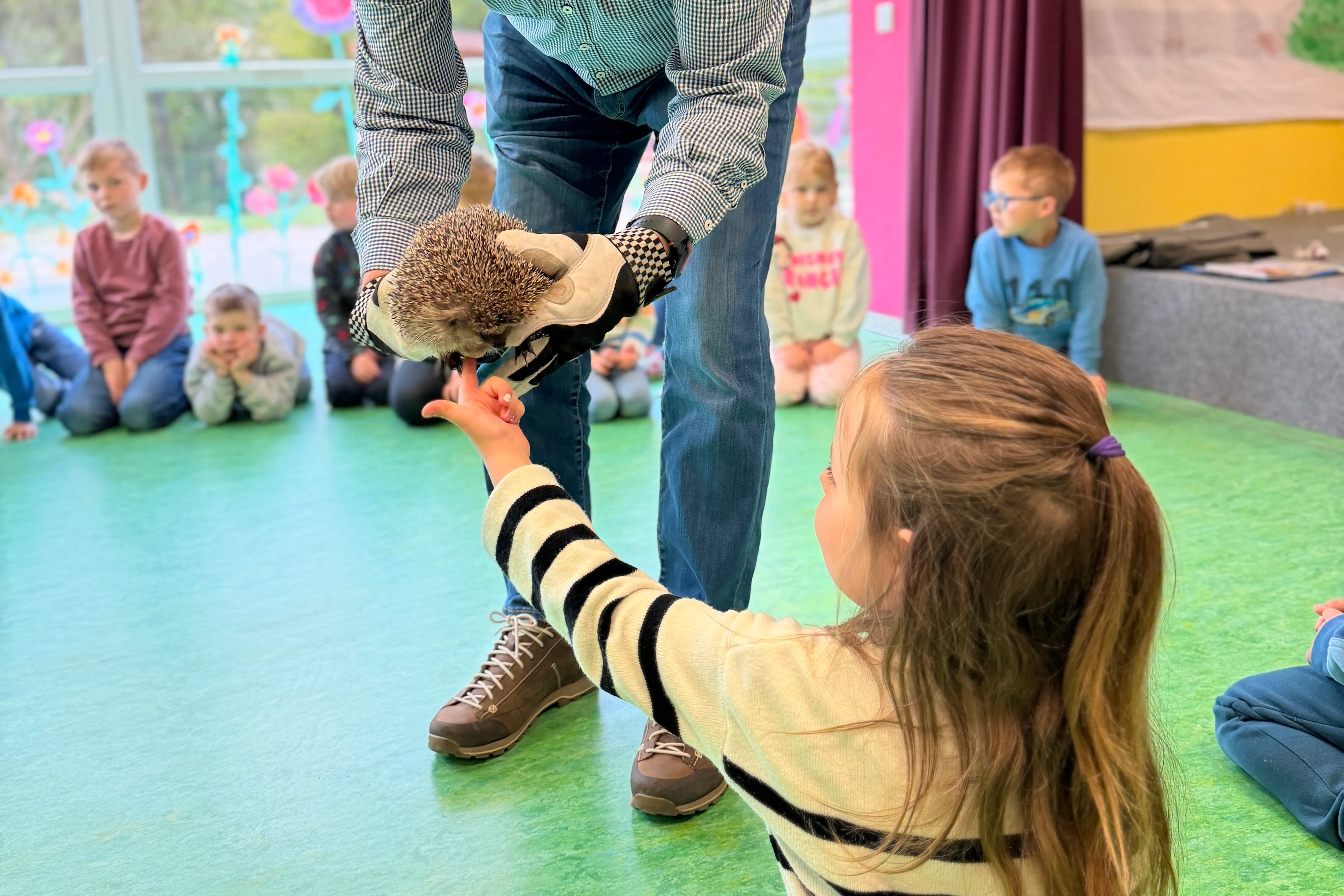 Ein Mädchen streckt die Hand aus, um einen Igel zu berühren, den eine Person in Handschuhen hält. Im Hintergrund sitzen weitere Kinder auf dem Boden.