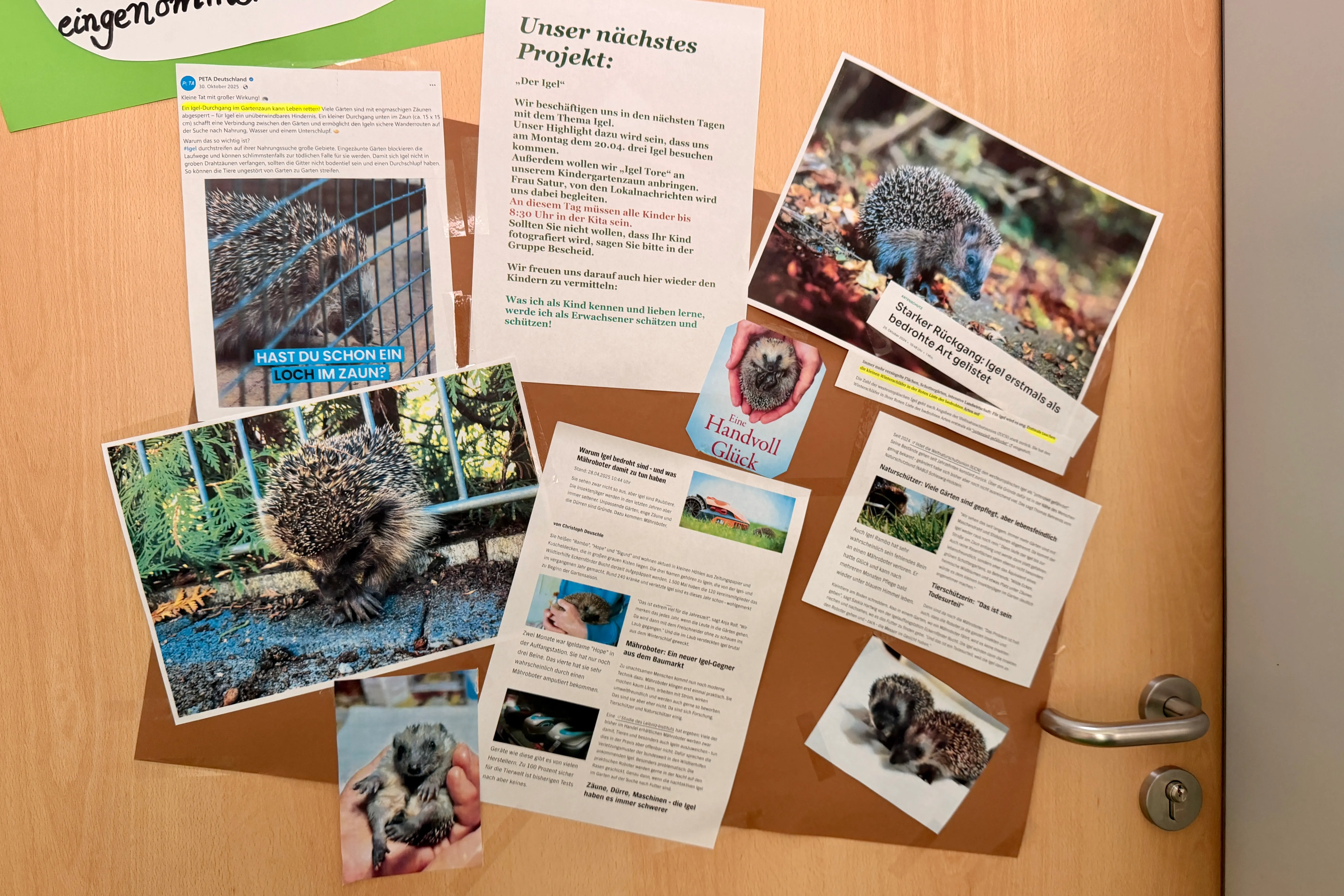 Kinder betrachten Poster und Bilder zum Thema Igel, darunter ein großes Plakat mit der Aufschrift „Hast du schon ein Loch im Zaun?“.