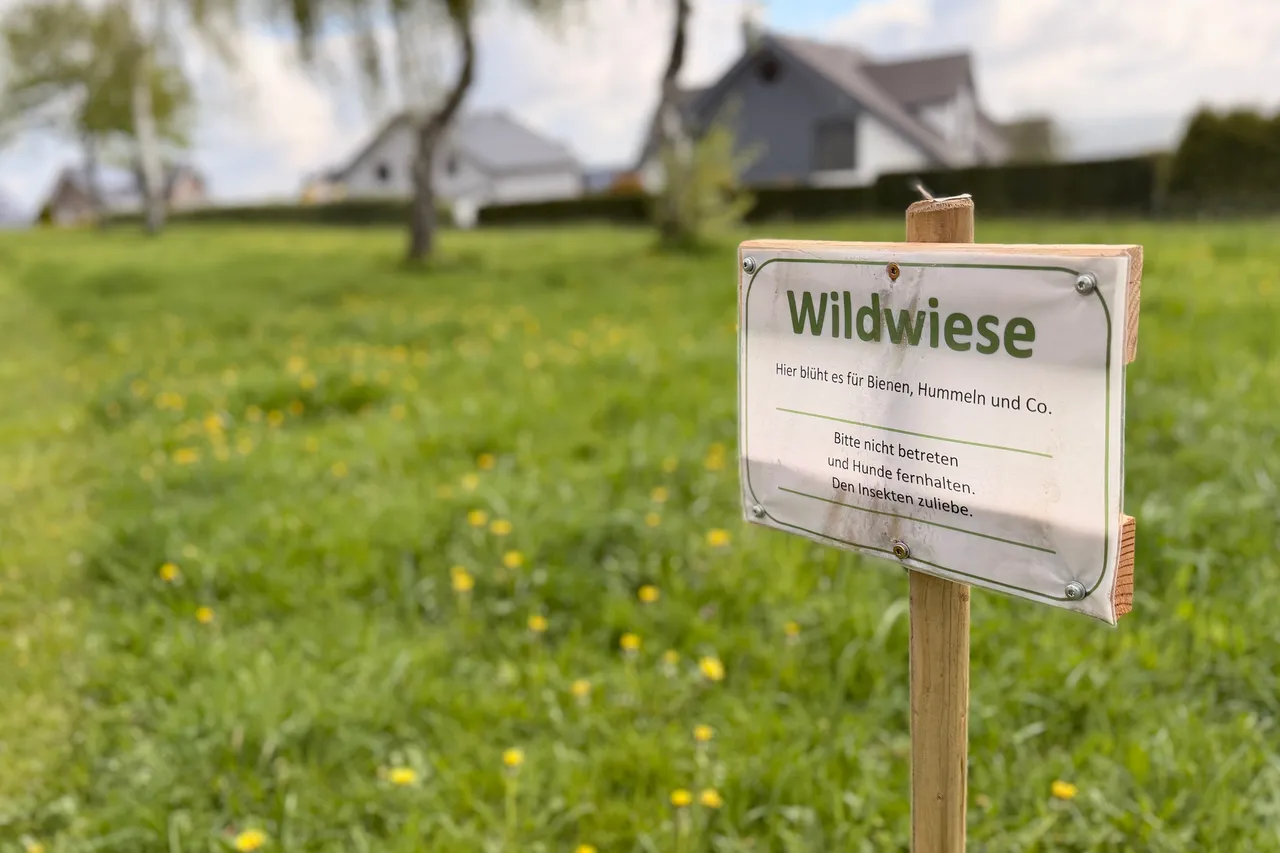 Schild „Wildwiese“ auf einem Holzpfahl in einer blühenden Wiese, im Hintergrund Gebäude und Bäume.