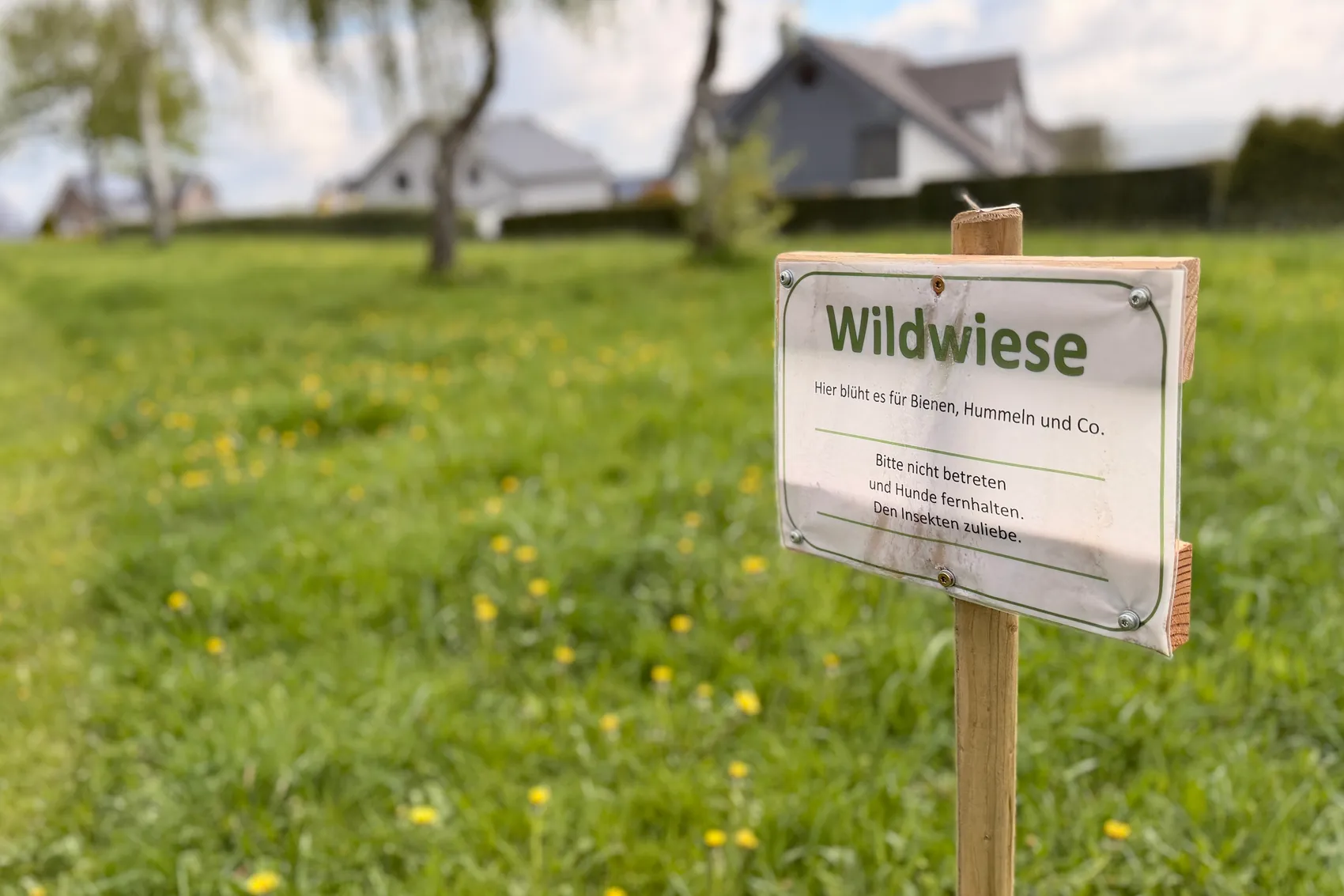 Schild „Wildwiese“ auf einem Holzpfahl in einer blühenden Wiese, im Hintergrund Gebäude und Bäume.