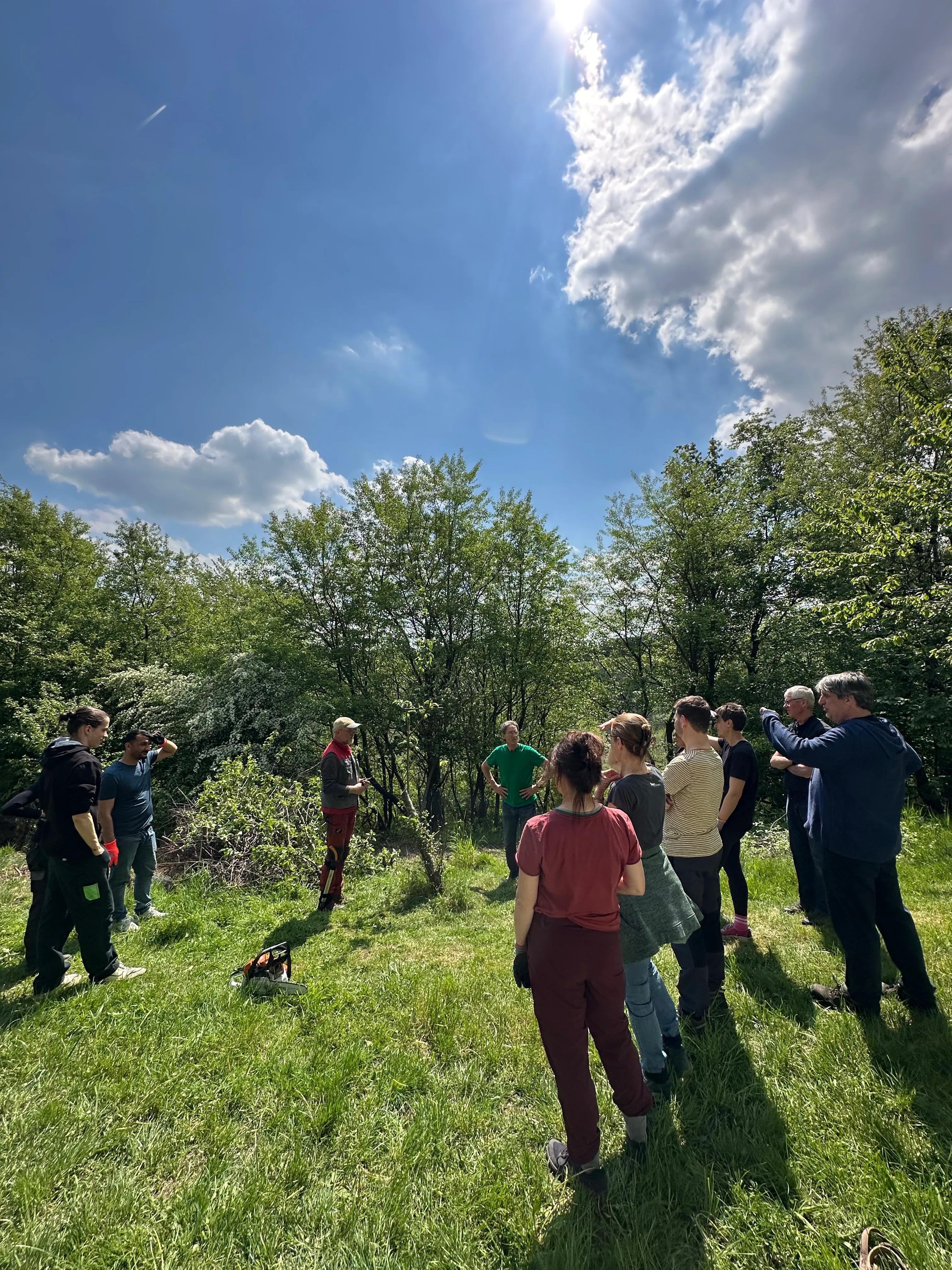 Eine Gruppe von Menschen steht auf einer Wiese vor Bäumen und Büschen, einige zeigen in Richtung der Baumkronen. Im Hintergrund ein strahlend blauer Himmel mit wenigen Wolken.